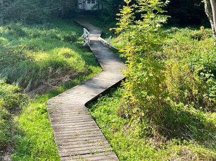 23-09-17 13-00-08 7005